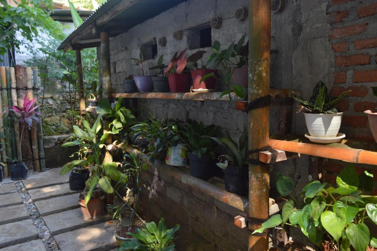 Labuan Bajo Mahoni Guesthouse Buitenkant foto
